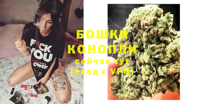 купить   blacksprut как войти  Шишки марихуана планчик  Ковылкино 